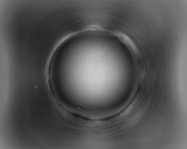 X0000093141435200710031402