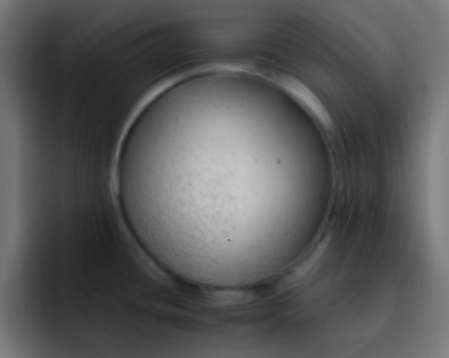 X0000093141436200710031402