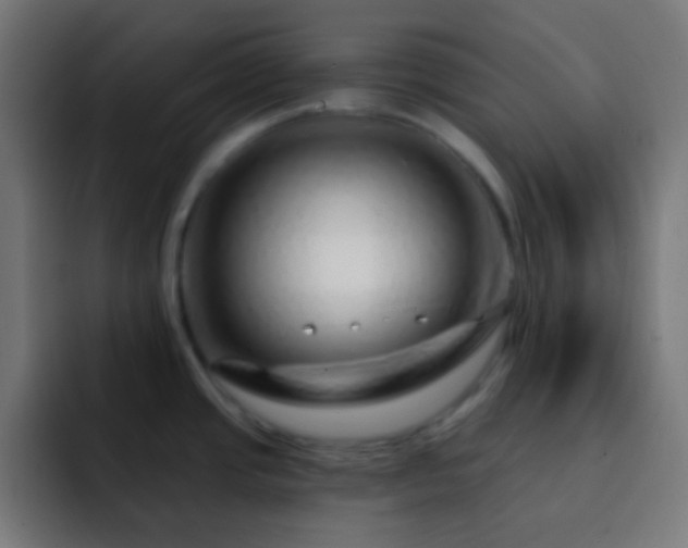 X0000093141437200710031402