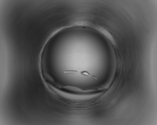 X0000093141439200710031402