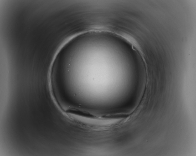 X0000093141440200710031402