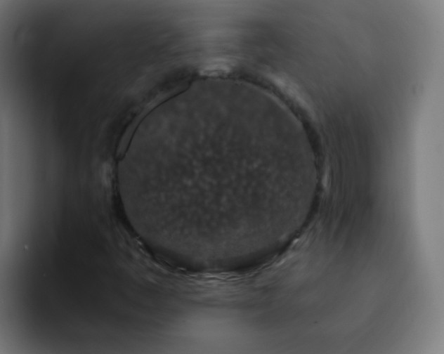 X0000093141445200710031401