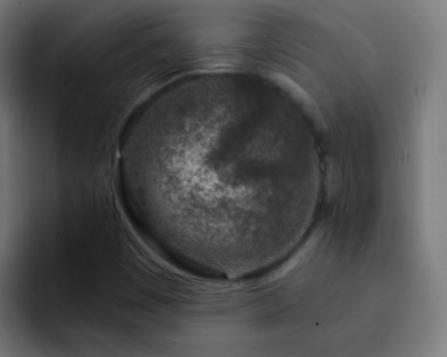 X0000093141449200710031401