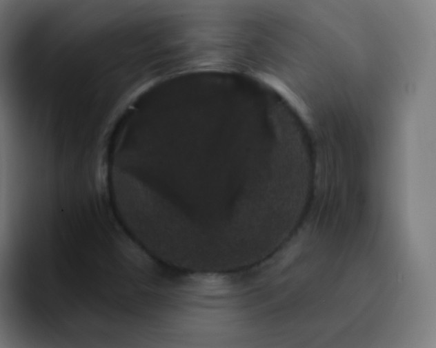 X0000093141450200710031401