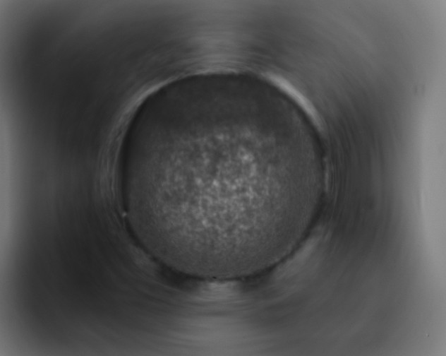 X0000093141453200710031401