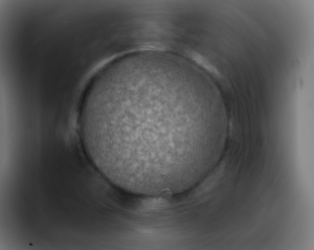 X0000093141454200710031401