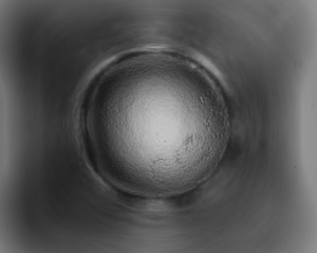 X0000093141456200710031401