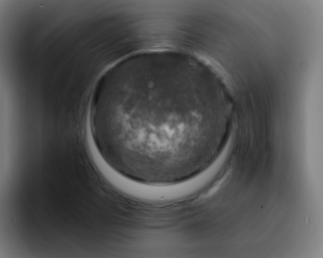 X0000093141457200710031401