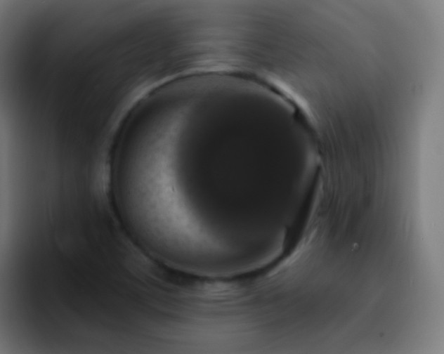 X0000093141459200710031401