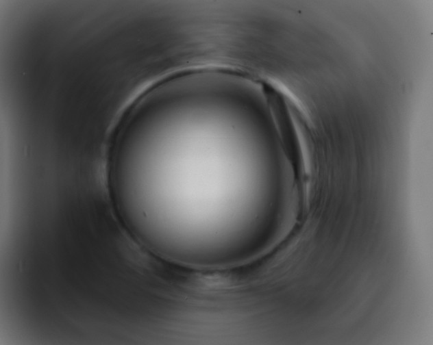 X0000093141460200710031401