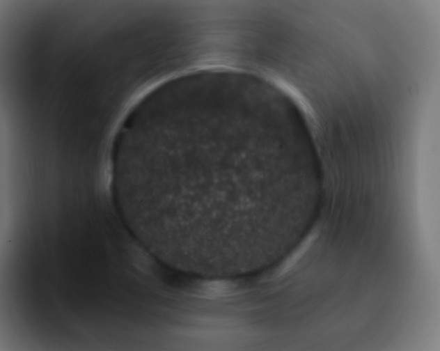 X0000093141461200710031401