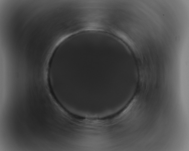 X0000093141463200710031401