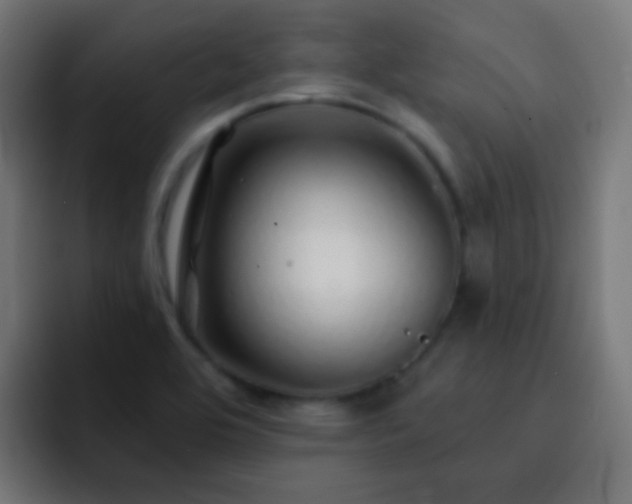 X0000093141464200710031401