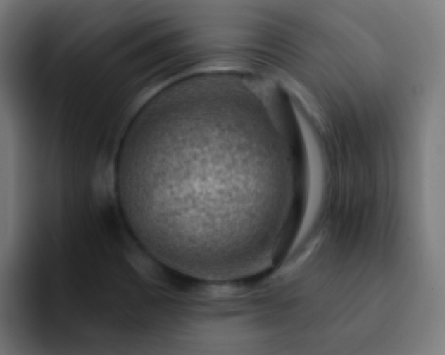 X0000093141465200710031401