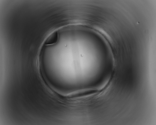 X0000093141467200710031401