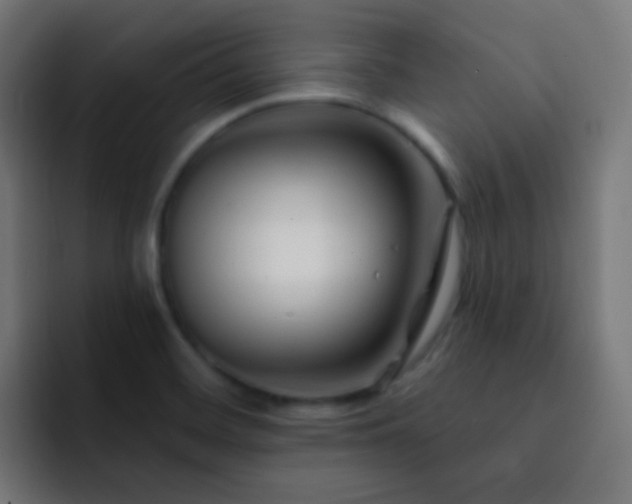 X0000093141468200710031401