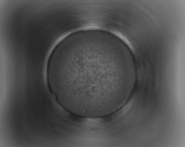 X0000093141469200710031401