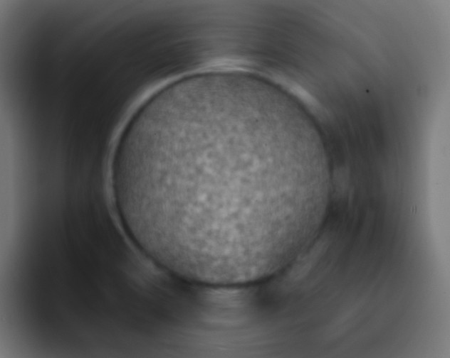 X0000093141470200710031401