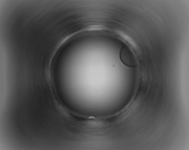 X0000093141473200710031401