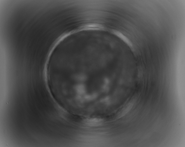 X0000093141474200710031401