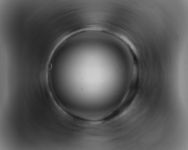 X0000093141484200710031401