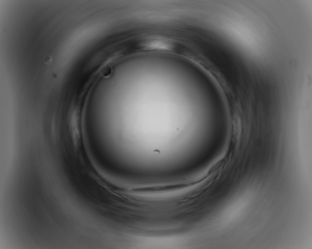 X0000093141487200710031401