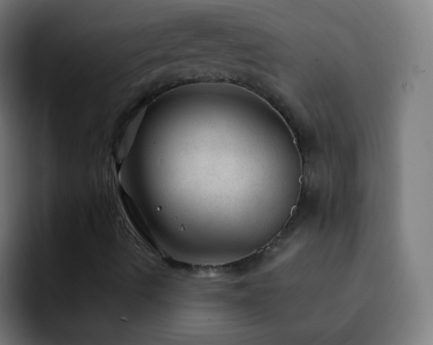 X0000093141490200710031400