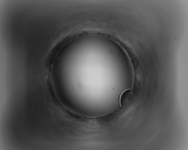 X0000093141495200710031400