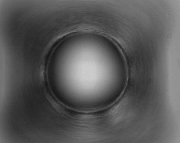 X0000093141499200710031400
