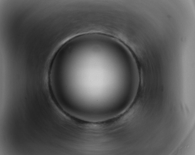 X0000093141500200710031400