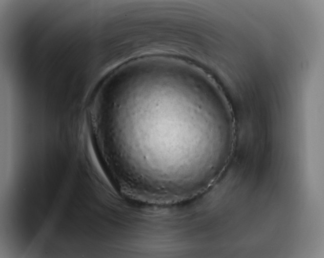 X0000093141505200710031400
