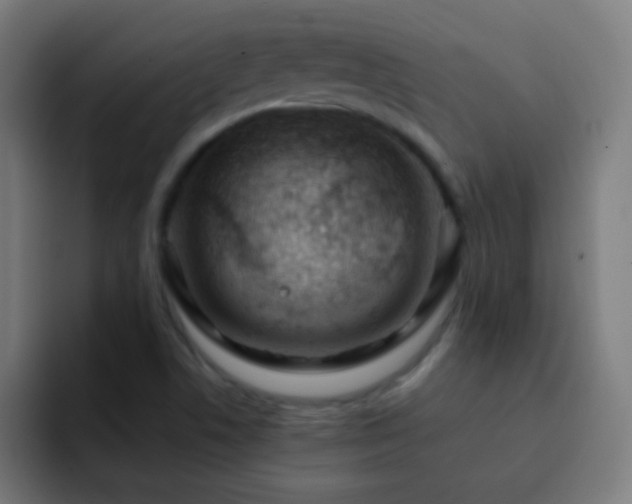 X0000093141506200710031400