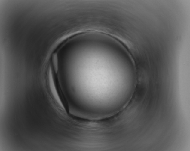X0000093141507200710031400