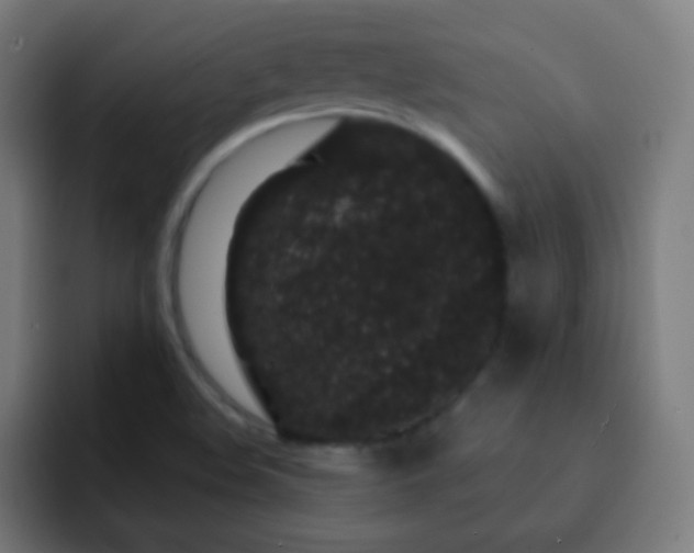 X0000093141508200710031400