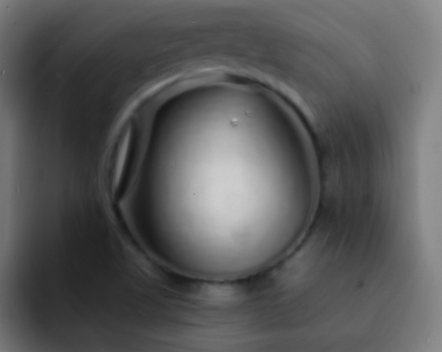 X0000093141509200710031400