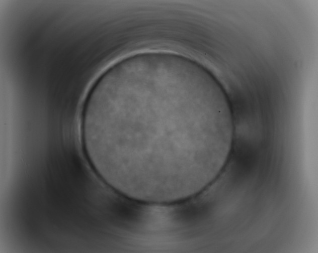 X0000093141514200710031401
