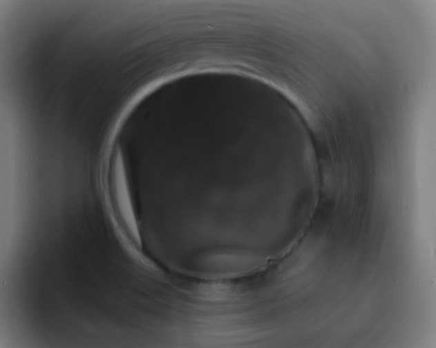 X0000093141515200710031401