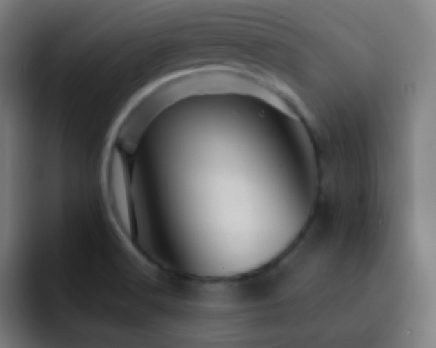 X0000093141516200710031401