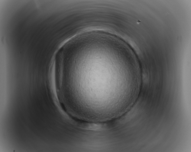 X0000093141521200710031401