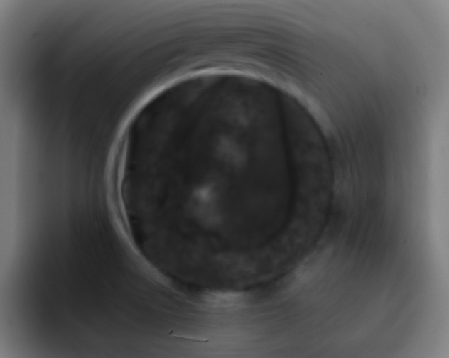 X0000093141522200710031401