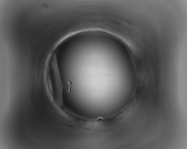 X0000093141526200710031401