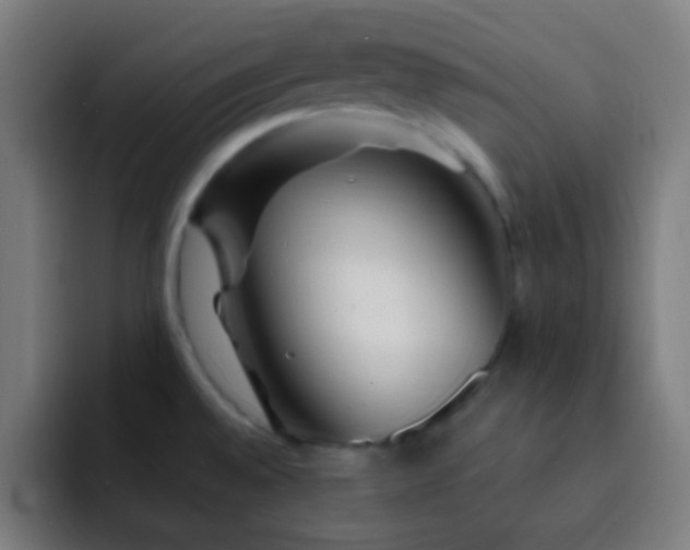 X0000093141528200710031401