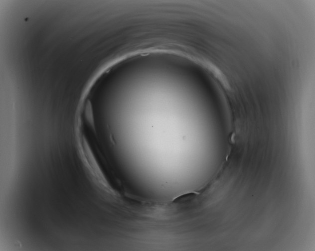 X0000093141530200710031401