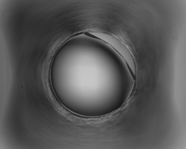 X0000093140001200710101126