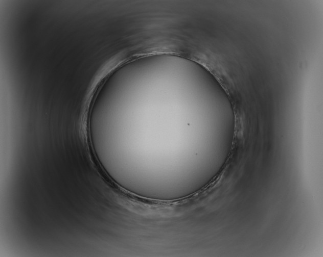 X0000093140004200710101126