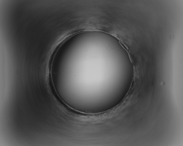 X0000093140005200710101126