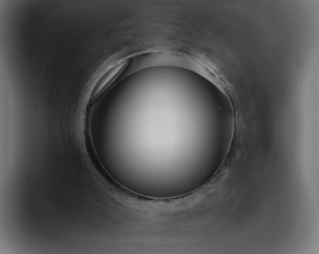 X0000093140007200710101126