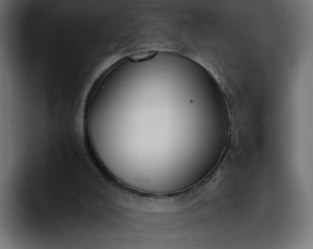 X0000093140008200710101126