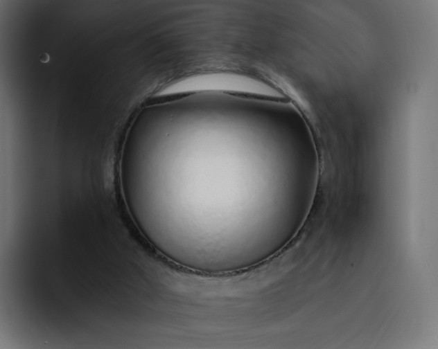 X0000093140010200710101125