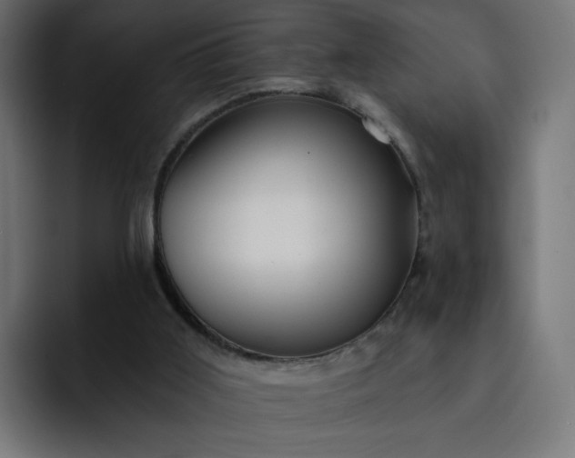 X0000093140011200710101125